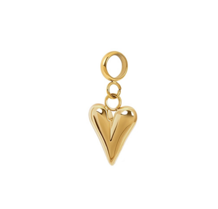 iXXXi connect charm  Wild Heart Goud