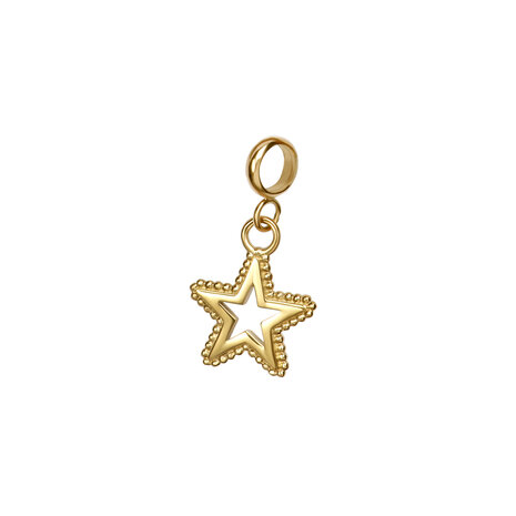 iXXXi connect charm Star Goud 154002-01