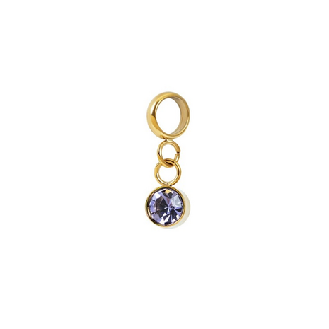 iXXXi connect charm  Stone Purple goud 154009-01