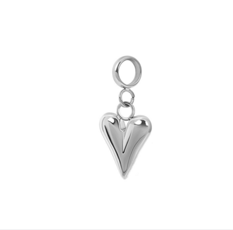 iXXXi connect charm  Wild Heart Zilver